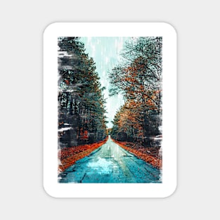 Foresty Straight Road - For Travelers Magnet