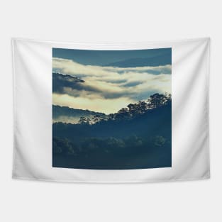 Mountains Covered In Fog, Landscape Photography, Forest Art, Cloudy Sky Tapestry