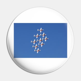 Snowbirds Pin