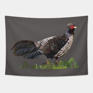 Kalij Pheasant, game bird Tapestry