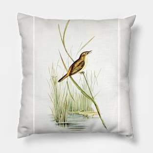Reed Warbler (Acrocephalus Australis) Pillow