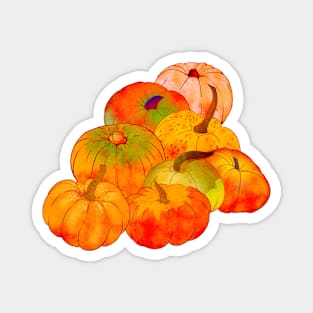 Pile of pumpkins Magnet