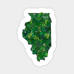 Illinois Irish Shamrock Garden Magnet