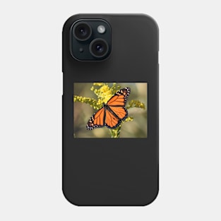 Monarch Butterfly 100320 Phone Case