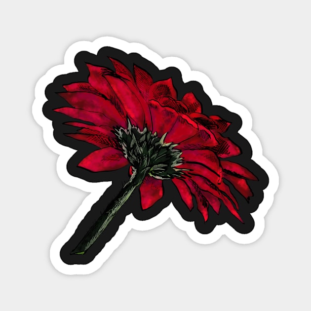 Red Gerbera Magnet by michdevilish