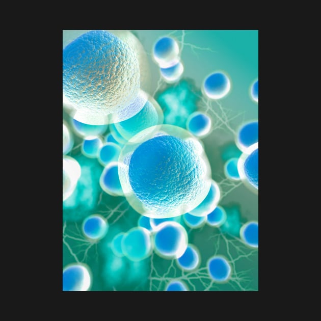 Stem cells, illustration (C029/2566) by SciencePhoto