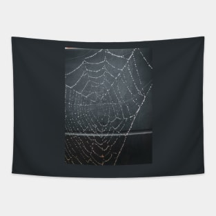 Spider Web Tapestry