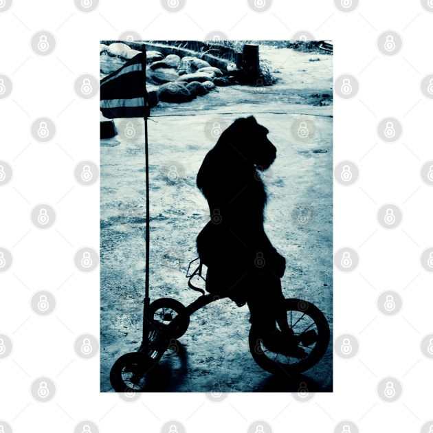 Monkey on bike by thehollowpoint