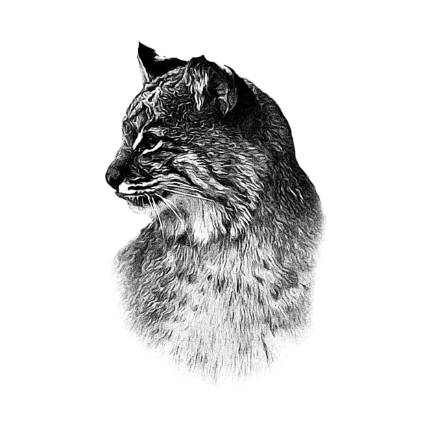 Bobcat by Guardi