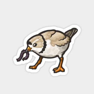 Piping Plover Magnet