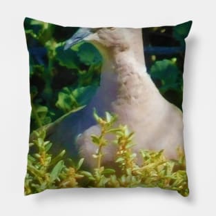 Mourning dove Pillow