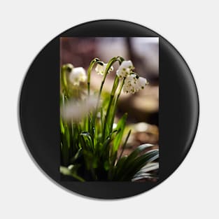 Snowdrop flowers in the forest Pin