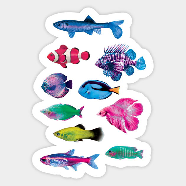 Colorful Fish - Fish - Sticker