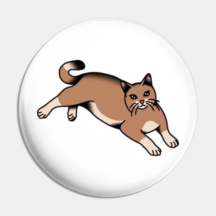 Layin’ Kitty Pin