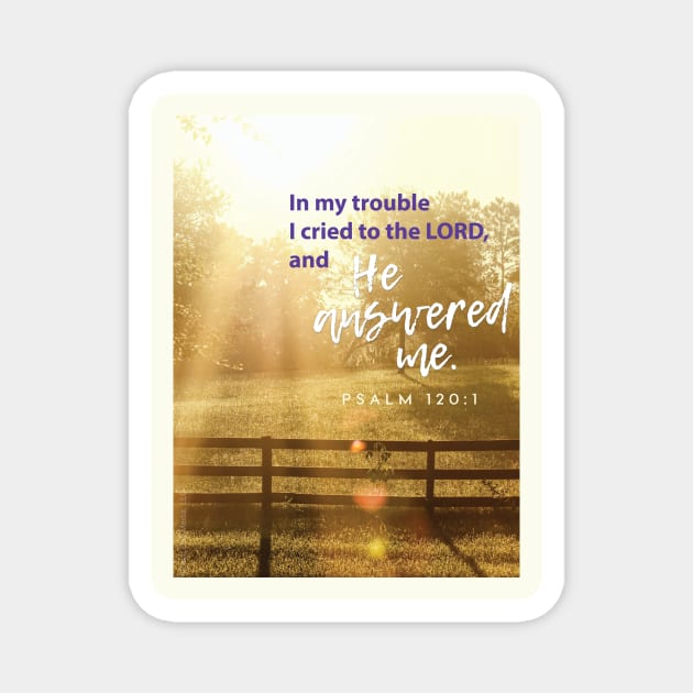 In my trouble I cried to the Lord and He answered me.  Psalm 120:1 Magnet by Third Day Media, LLC.