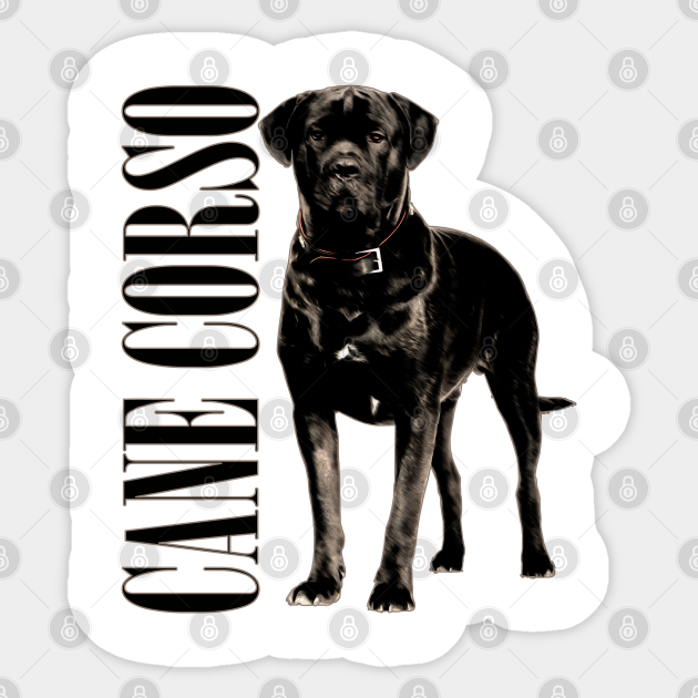 Cane Corso Italian Mastiff Cane Corso Sticker Teepublic