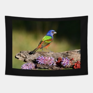 Painted Bunting Bird Male Tapestry