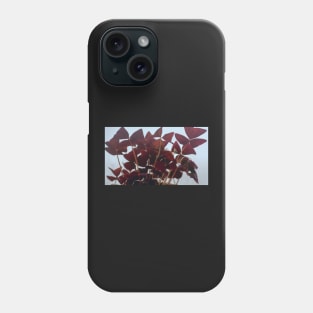 Oxalis Phone Case