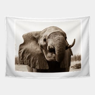 African Bull Elephant Tapestry