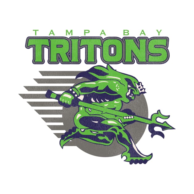 Defunct Tampa Bay Tritons Roller Hockey by Defunctland