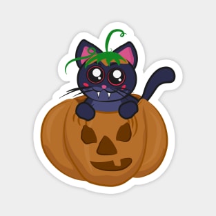 Vampire cat in a spooky halloween pumpkin Magnet