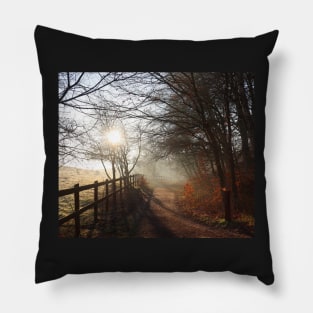 Morning mood in March Pillow