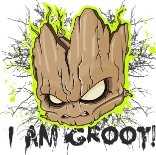 Groot Magnet