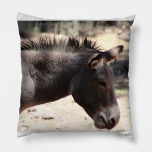 Closeup of Mule - Arizona Pillow