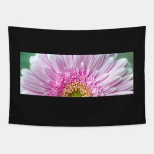 Pink Chrysanthemum Tapestry