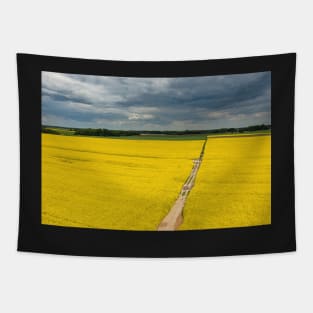 Agricultural landscape, fields of yellow colza under moody cloudy sky Tapestry