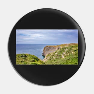 Thurba Head captured from the Welsh Coastal Path Pin