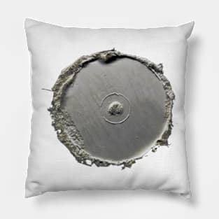 Fossils Old Cd 80s Pillow