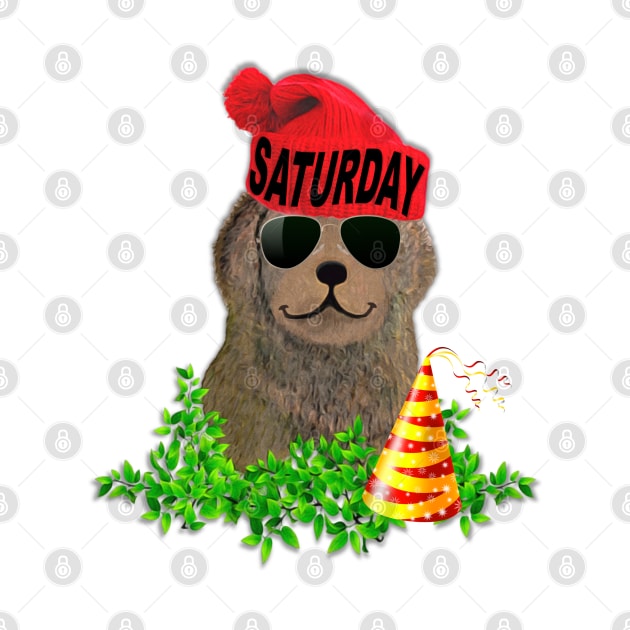Moody Sassy Saturday Beanie Puppy by KC Morcom aka KCM Gems n Bling aka KCM Inspirations