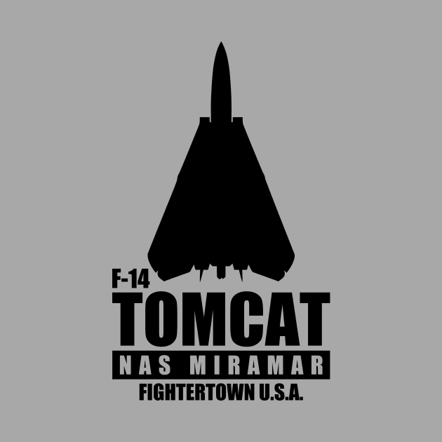 F-14 Tomcat NAS Miramar by Firemission45