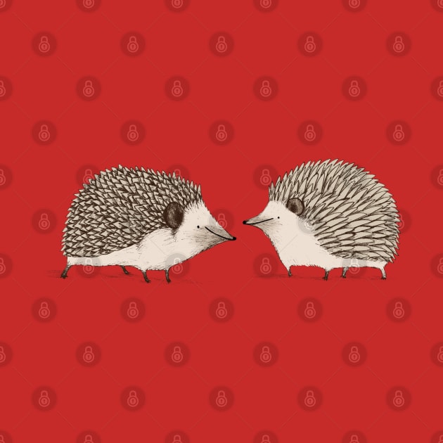 Two Hedgehogs by Sophie Corrigan