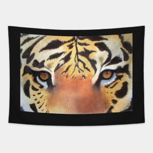 Tigers Eyes Tapestry