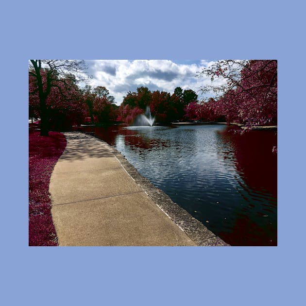 Fantasy Nature Scene with Pink Leaves and Grass Reflecting in the Water - Loose Park Kansas City by Zen Goat 