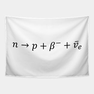 Neutron To Proton Beta Decay - Nuclear Physics Basics Tapestry