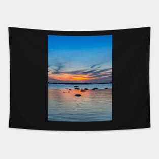 Summer Means Swimming Tapestry