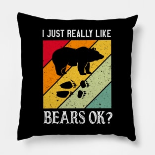 I Just really like Bears Pillow