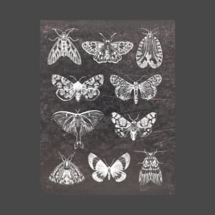 Moth collage T-Shirt