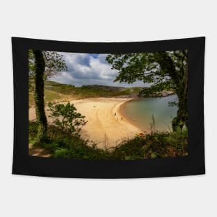 Barafundle Bay, Pembrokeshire Tapestry