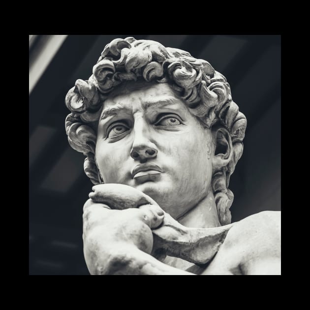 David by Michelangelo by V1adimir