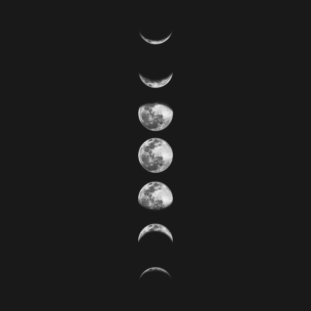 Discover Moon Phases - Moon Phases - T-Shirt