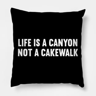 Life is a Canyon, Not a Cakewalk Pillow