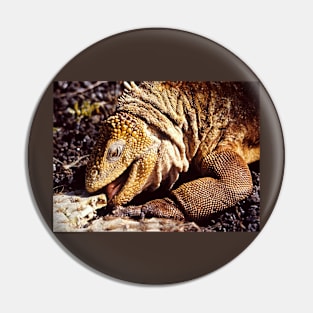 "Tastes Good !!", Land Iguana, Galapagos Pin