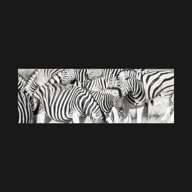 Zebra herd oblong black and white stripe full frame. by brians101