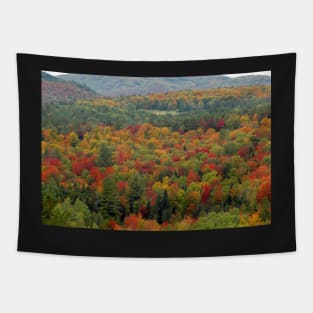 Fall landscape Tapestry