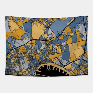 Naples Map Pattern in Blue & Gold Tapestry