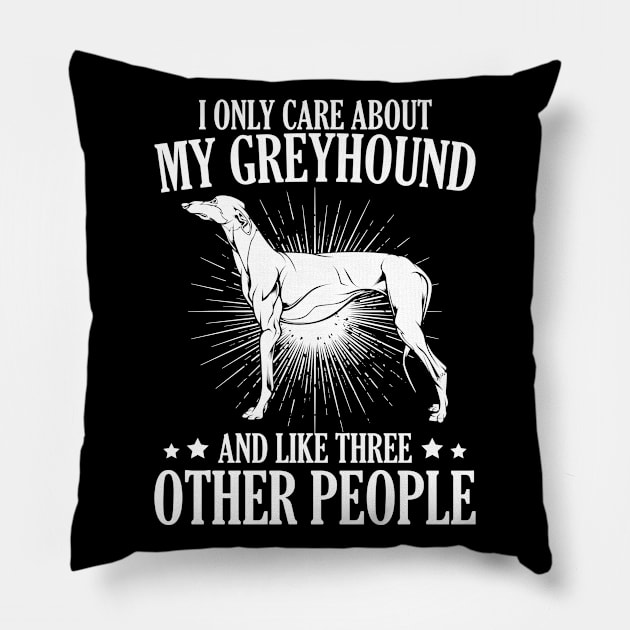 I Only Care About My Greyhound And Like Three Other People Pillow by Lumio Gifts